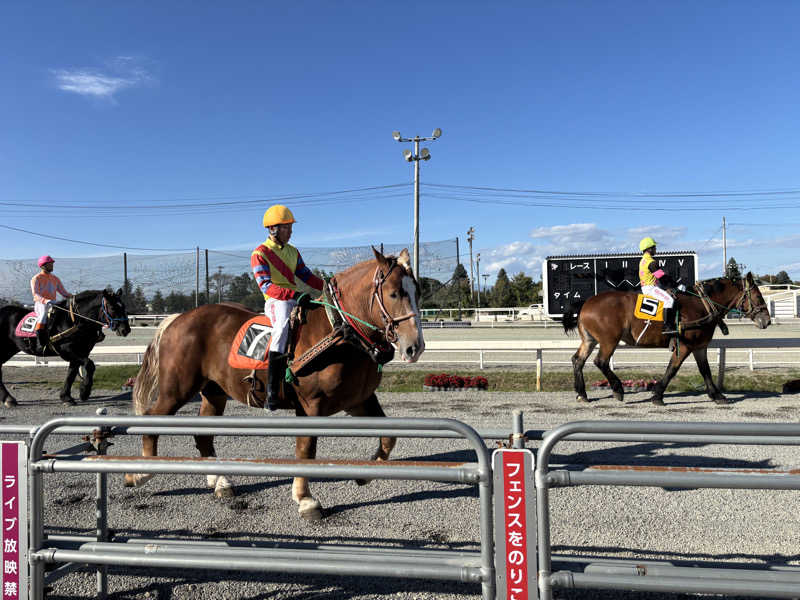 うめちゃまさんの白樺の湯 ドーミーイン帯広のサ活写真