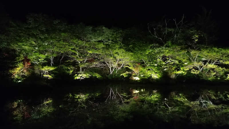 innocentさんの御船山楽園ホテル  らかんの湯のサ活写真