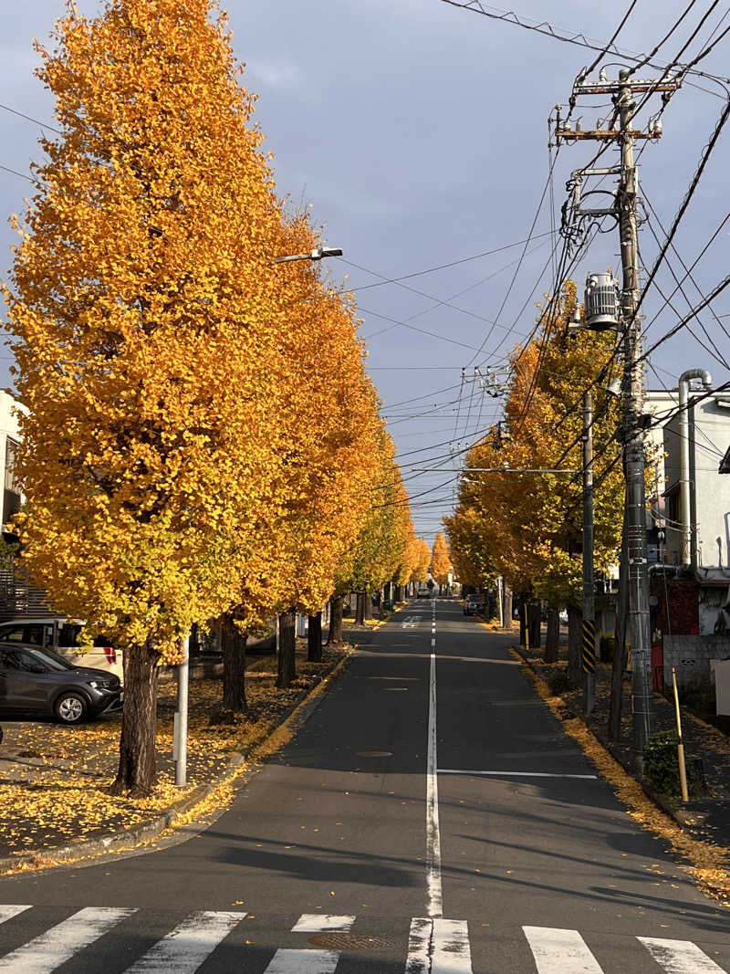 もささんのヨコヤマユーランド緑のサ活写真
