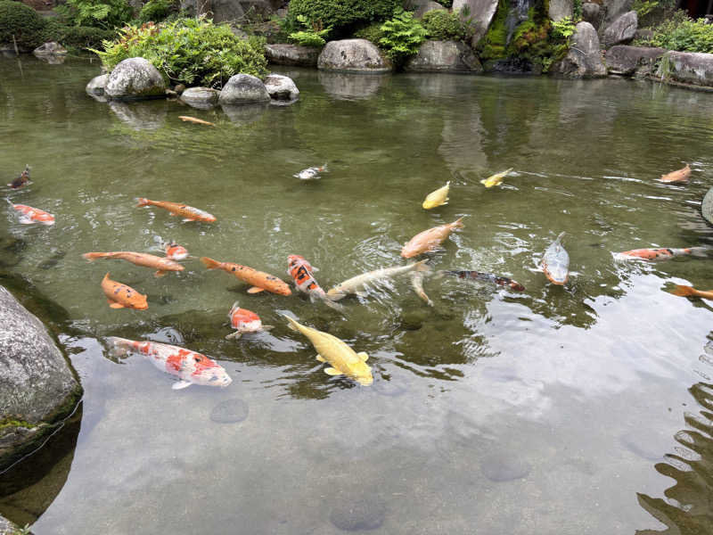 たかしさんの大江戸温泉物語 ホテル新光のサ活写真