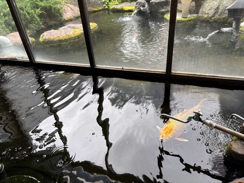 たかしさんの花園温泉のサ活写真