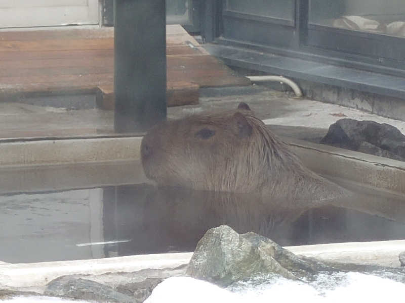 しまひげさんの石狩天然温泉 番屋の湯のサ活写真