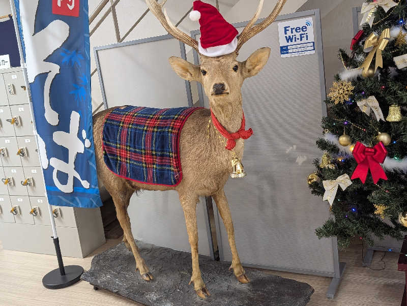 0193さんの恵庭温泉ラ・フォーレのサ活写真