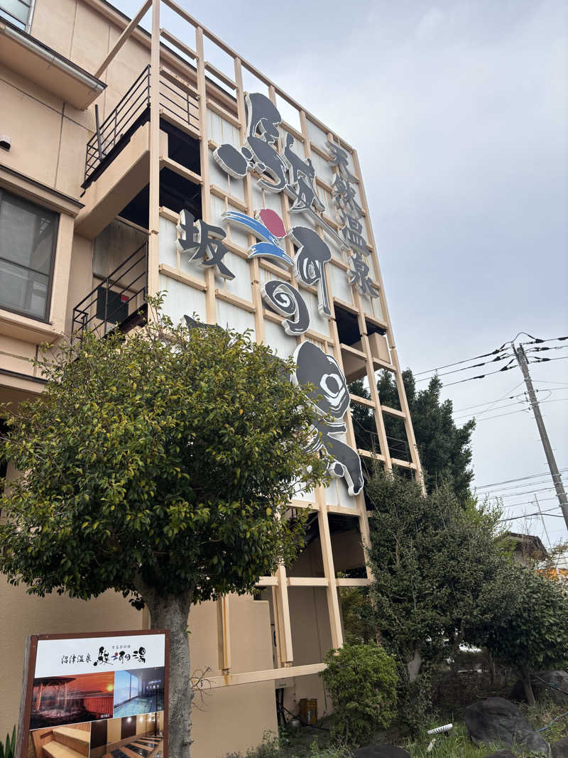 minamiさんの駿河の湯 坂口屋のサ活写真
