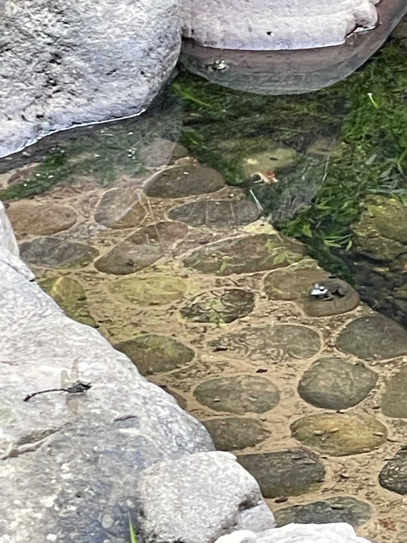 佐伯勇介さんのOND SAUNAのサ活写真