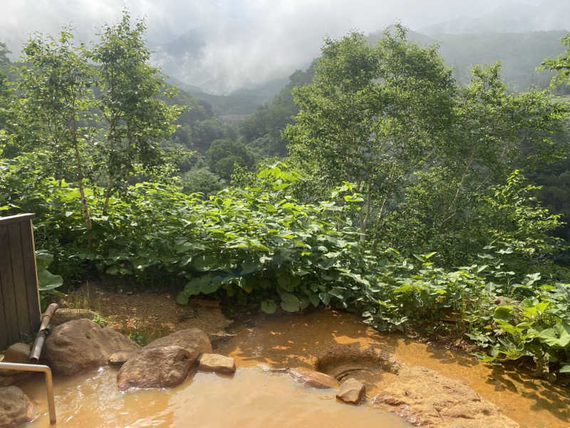 渡部 正人さんの十勝岳温泉 凌雲閣のサ活写真