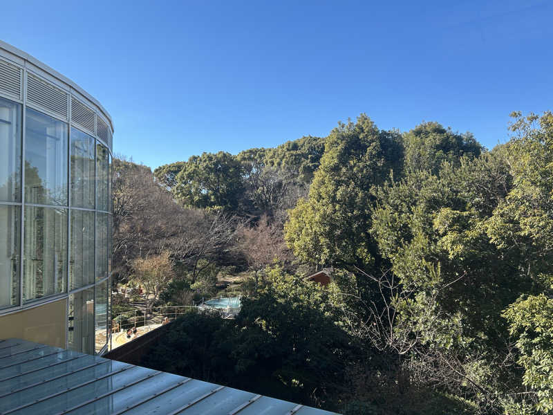 山田ですさんの豊島園 庭の湯のサ活写真