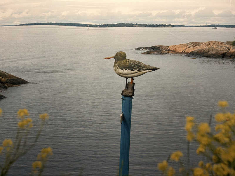山田ですさんのおふろcafé utataneのサ活写真