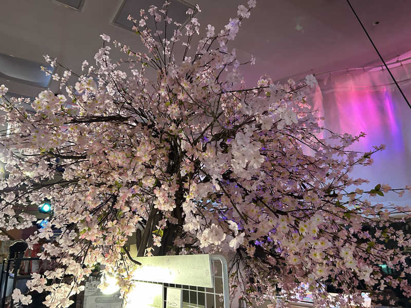 山田ですさんのおふろcafé utataneのサ活写真