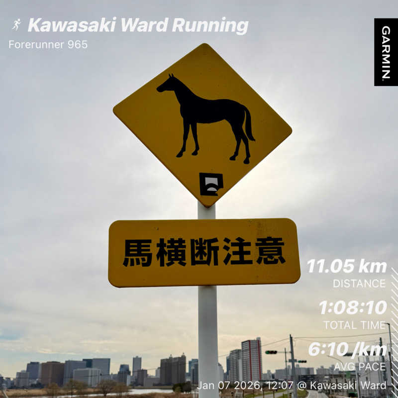 蒸しカッパさんのひとりサウナ ロウリューランド川崎のサ活写真