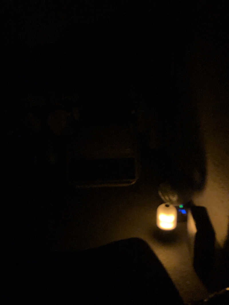 ネオ銀河眼のソロサウナーさんのMONSTER WORK & SAUNAのサ活写真