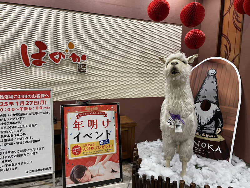 ハシビロウリュウさんの湯の郷ほのか 蘇我店のサ活写真