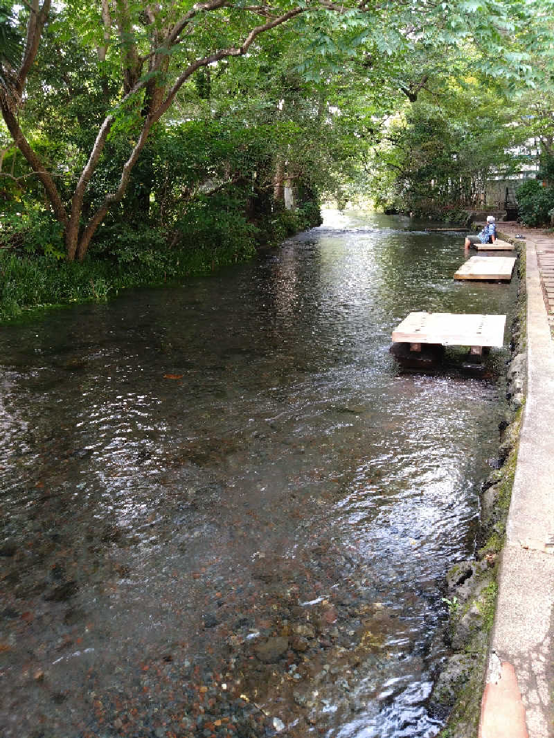 ぎんさんの極楽湯 三島店のサ活写真