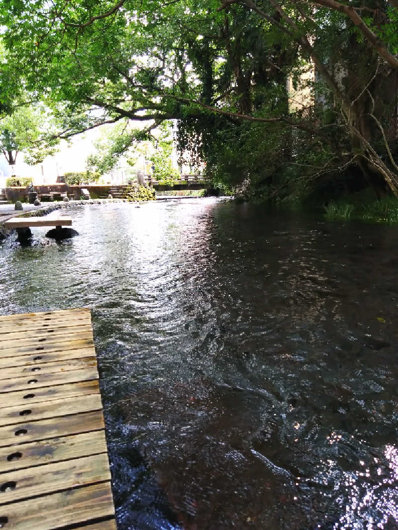 ぎんさんの極楽湯 三島店のサ活写真