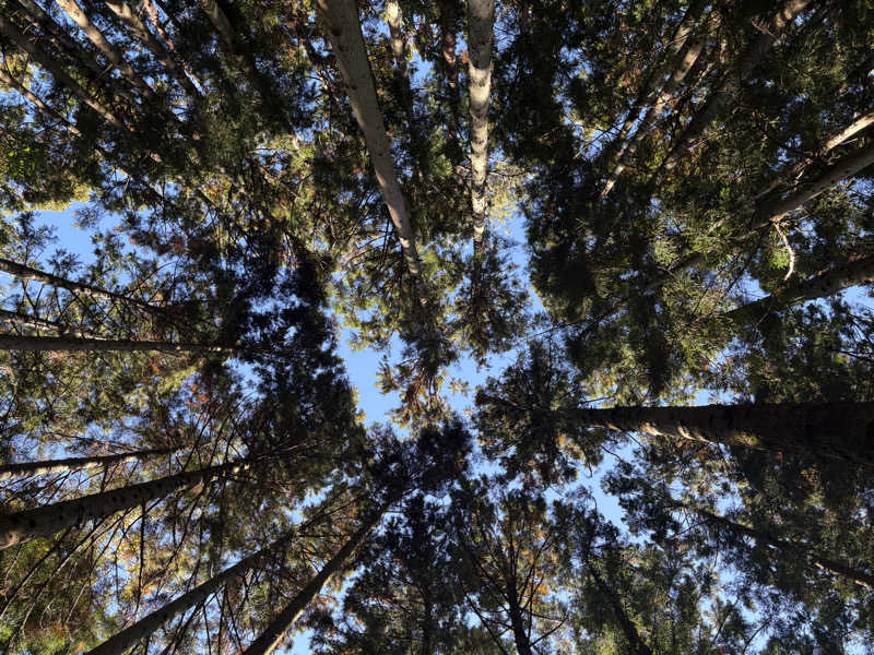 miiiさんのJUURI SAUNA(ユーリサウナ)のサ活写真