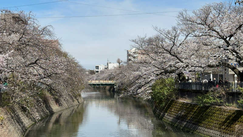 Kenさんの横浜天然温泉くさつのサ活写真