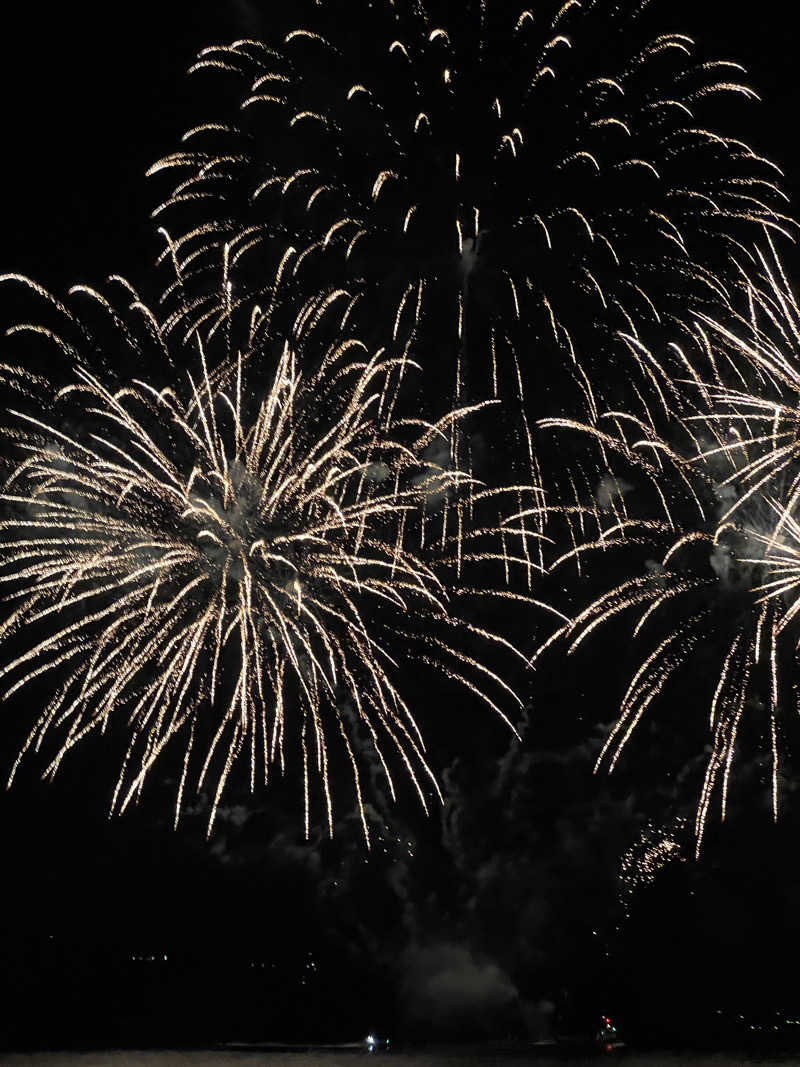 YSHさんの洞爺湖万世閣 ホテルレイクサイドテラスのサ活写真