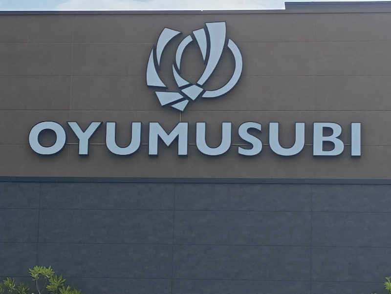 みなちゃんさんの常総ONSEN&SAUNA お湯むすびのサ活写真