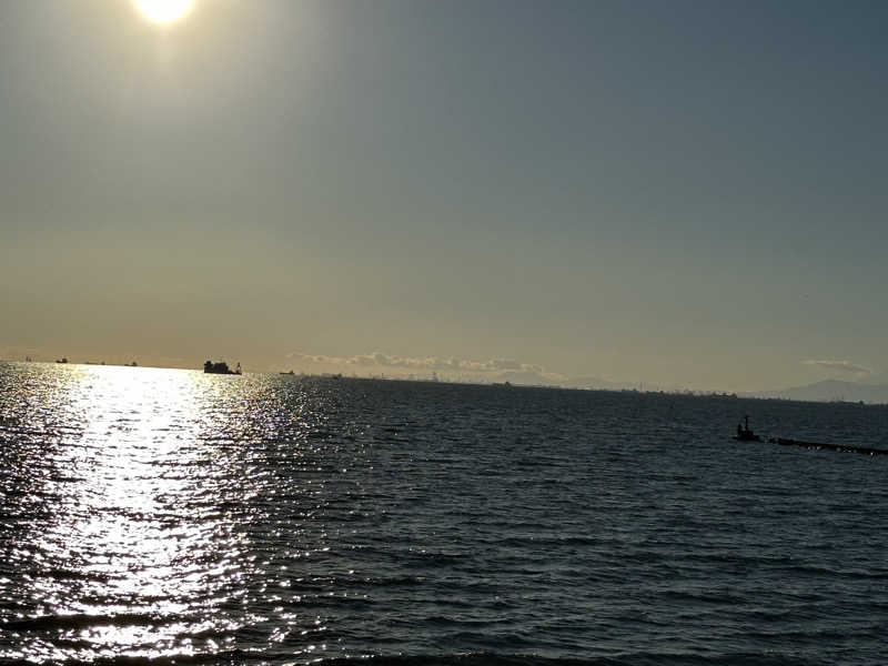 こうかいぼうさんのJFA夢フィールド 幕張温泉 湯楽の里のサ活写真