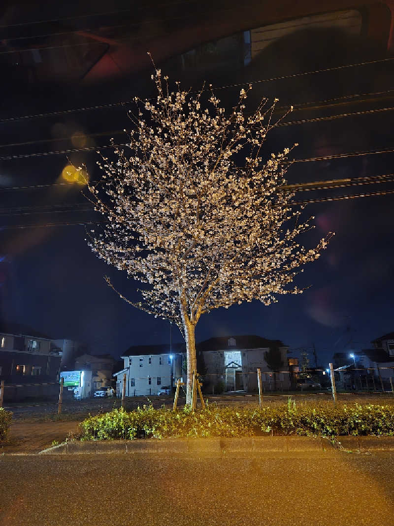 Sauna ねこさんの一本桜温泉センターのサ活写真