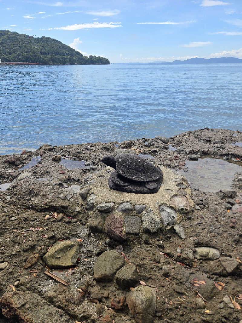 Sauna ねこさんの湯の児 海と夕やけのサ活写真