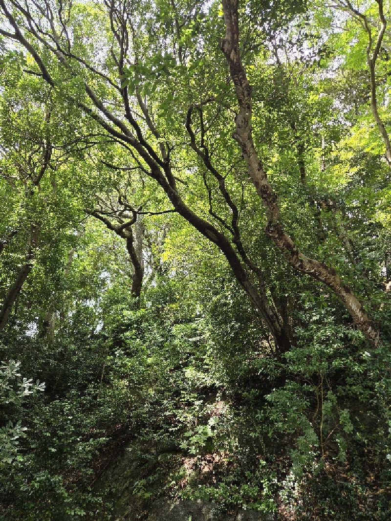 Sauna ねこさんの湯の児 海と夕やけのサ活写真