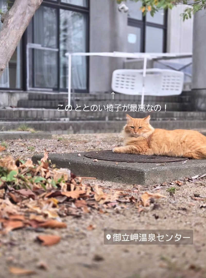 Sauna ねこさんの御立岬温泉センターのサ活写真