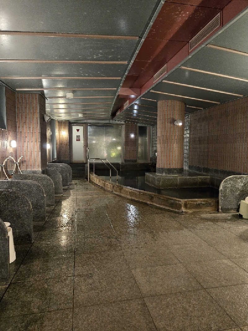 Sauna ねこさんの天然温泉 ホテル自治会館(市町村自治会館)のサ活写真