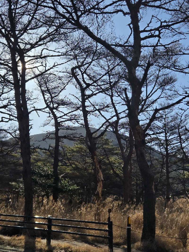 Sauna ねこさんの霧島国際ホテルのサ活写真