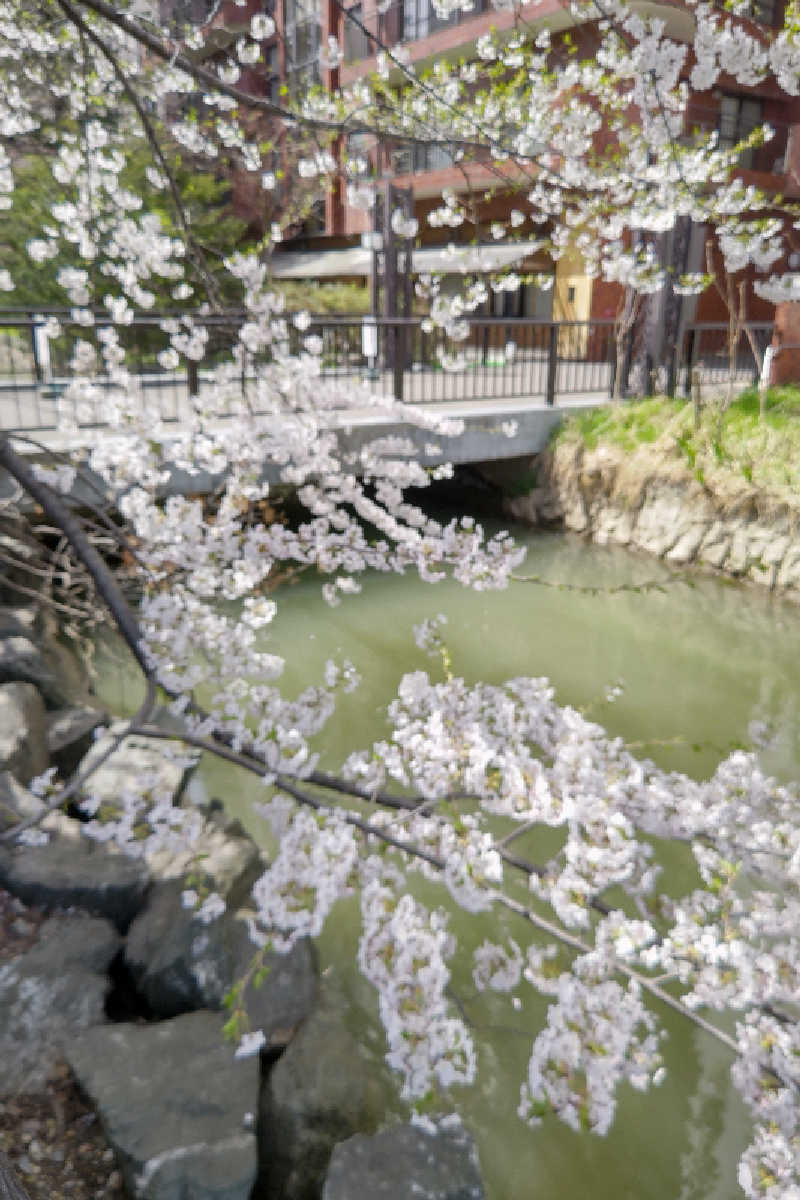 サウナおじさんさんのすすきの天然温泉 湯香郷のサ活写真
