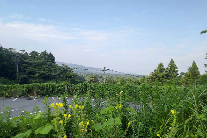 サウナおじさんさんの木の花の湯(HOTEL CLAD)のサ活写真