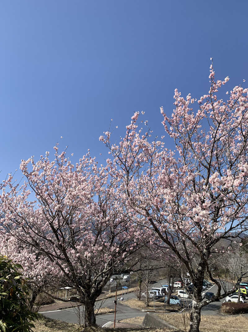 ノノキャンプさんのあしがら温泉のサ活写真