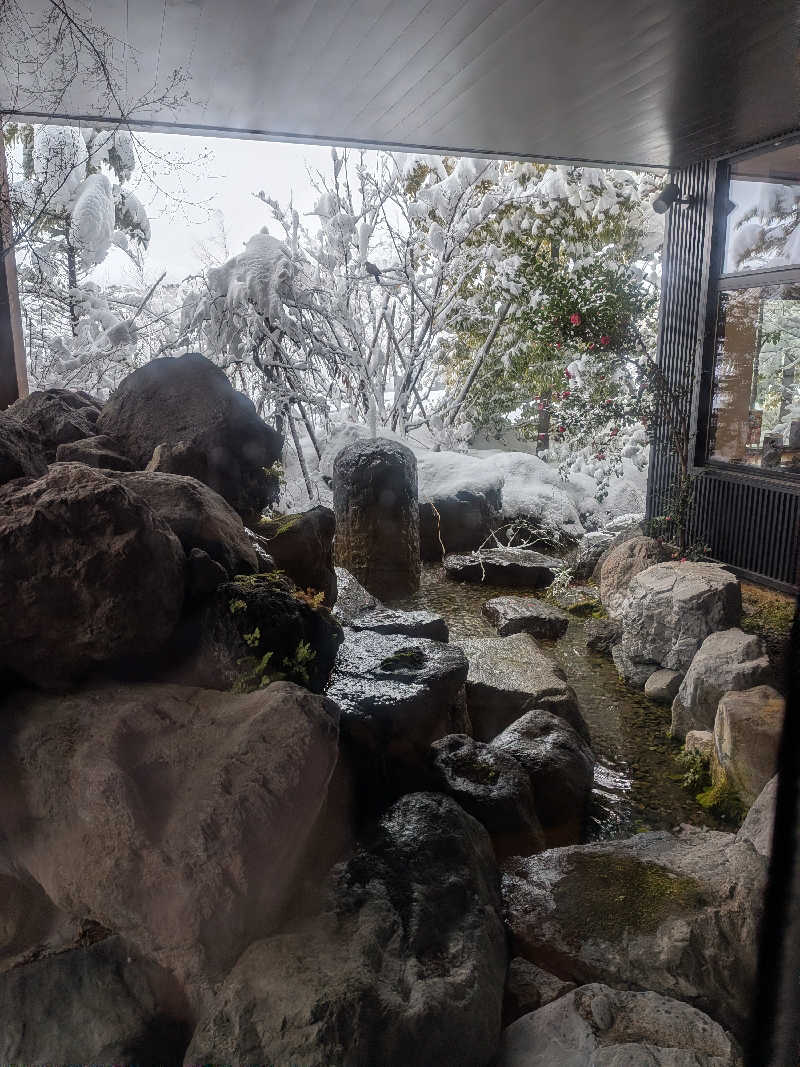 ごつぶさんの天然温泉 風の森のサ活写真