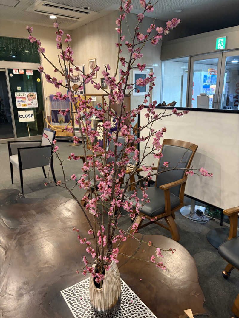 Taka(saunner201906)さんのビラックス高薗のサ活写真