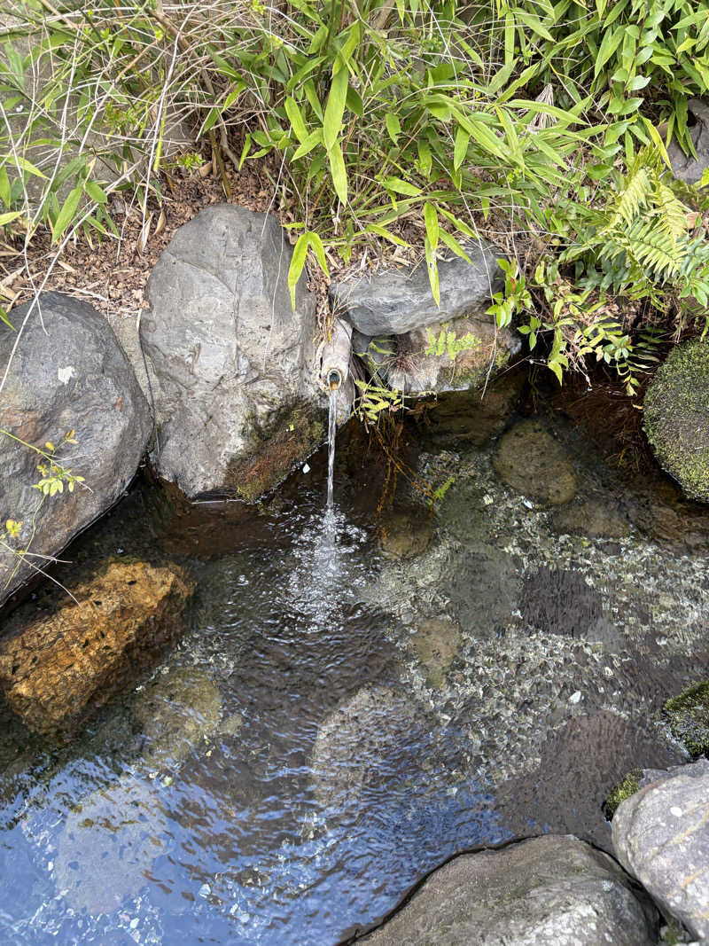 Taka(saunner201906)さんの岐阜各務原 恵みの湯のサ活写真