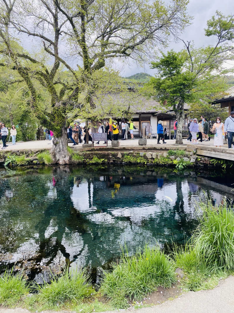 むぎちさんの山中湖温泉紅富士の湯のサ活写真