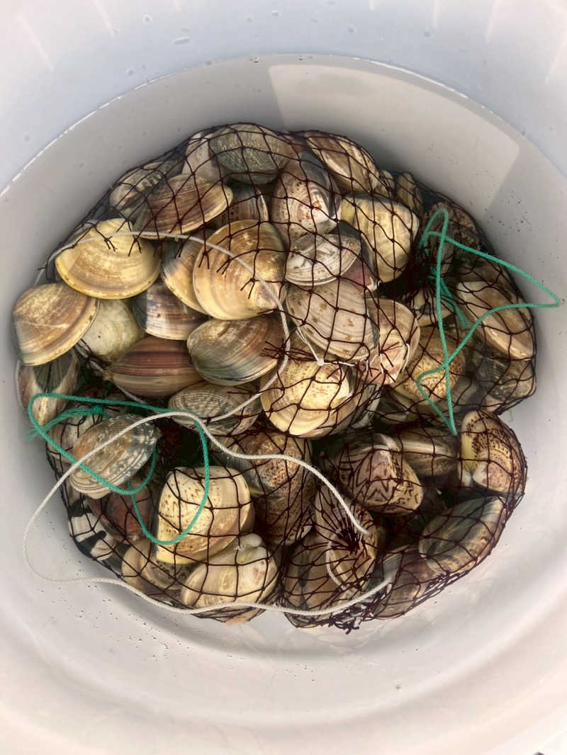 むぎちさんの君津の湯のサ活写真