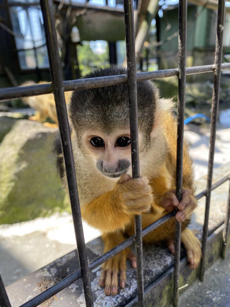 むぎちさんのサンダンス・リゾート伊豆高原のサ活写真