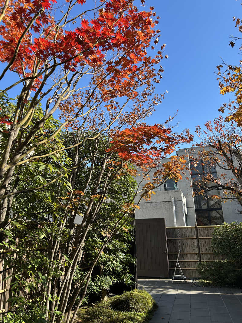 STONEさんの東京染井温泉 SAKURAのサ活写真