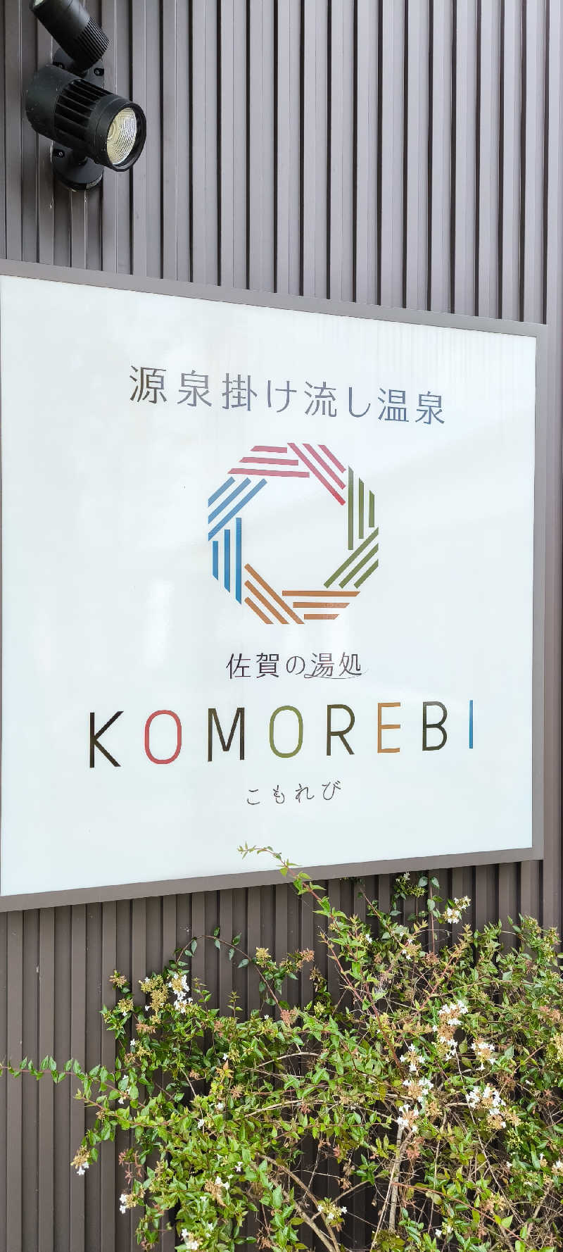 ただのサウナ好きさんの佐賀の湯処 KOMOREBIのサ活写真