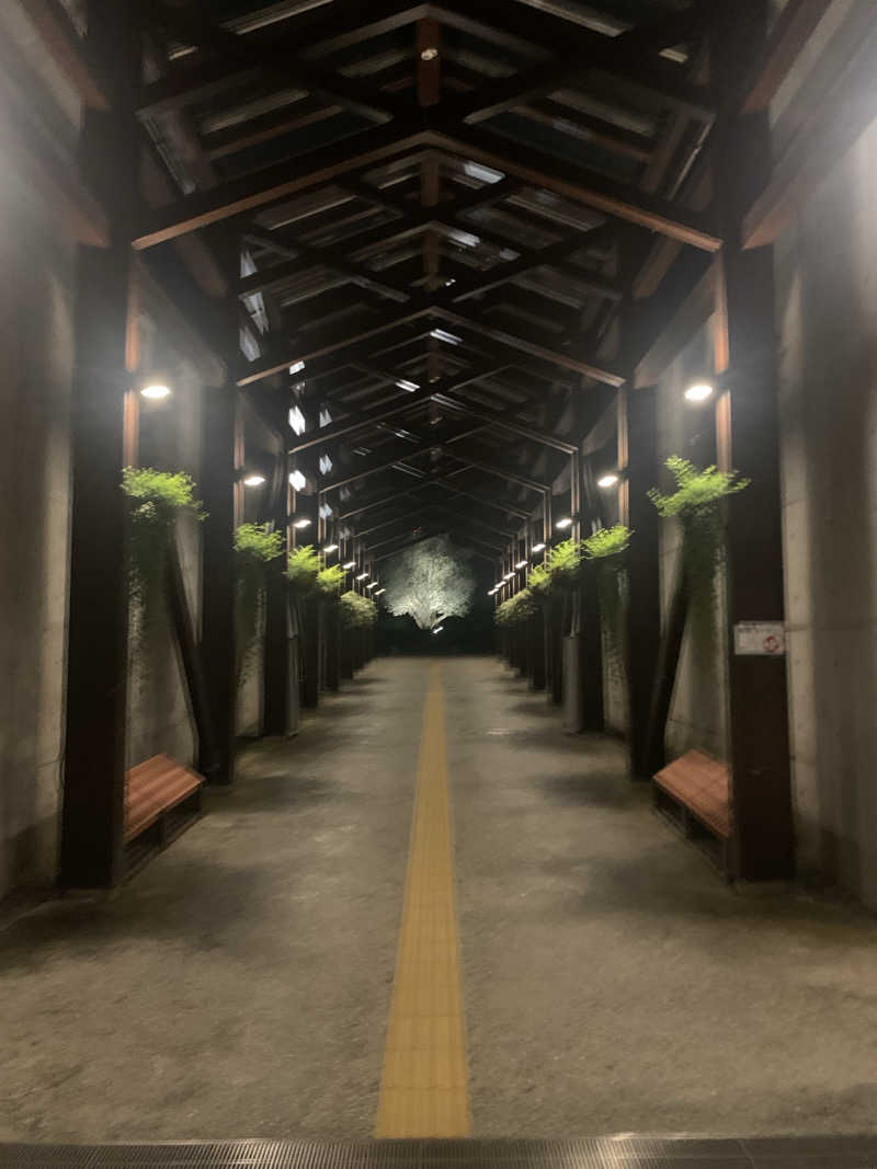 いちごぱふぇさんの白雲谷温泉ゆぴかのサ活写真