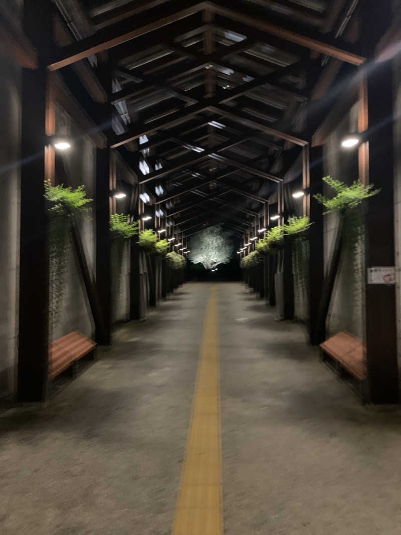 いちごぱふぇさんの白雲谷温泉ゆぴかのサ活写真