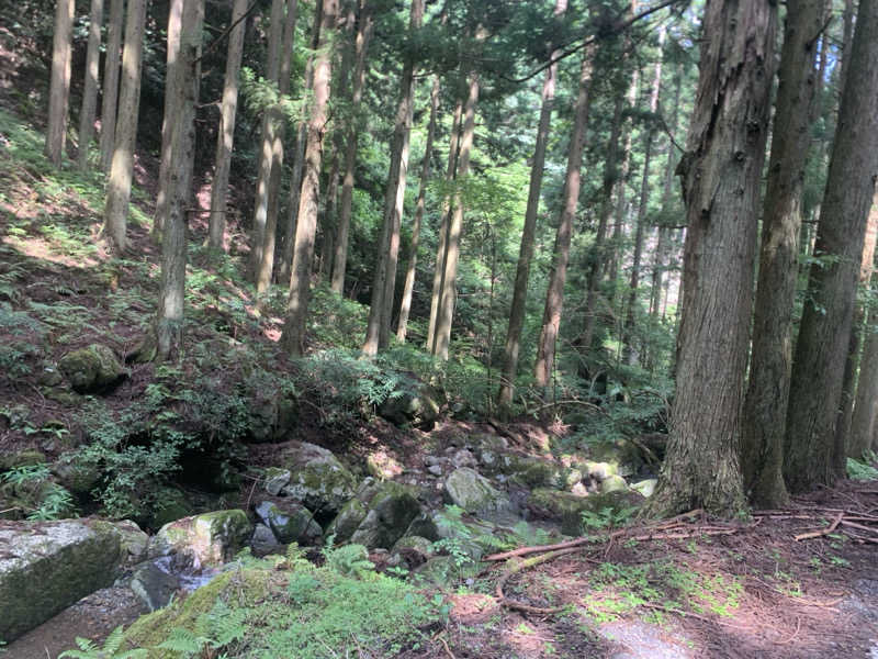 いちごぱふぇさんのよふど温泉のサ活写真