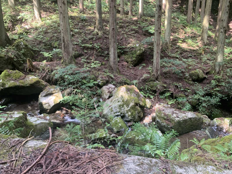 いちごぱふぇさんのよふど温泉のサ活写真