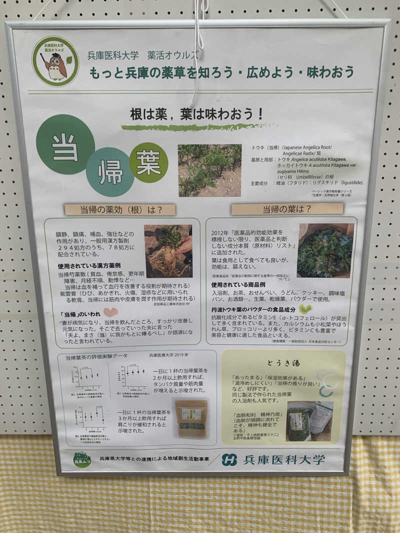 いちごぱふぇさんの丹波市立薬草薬樹公園 丹波の湯のサ活写真