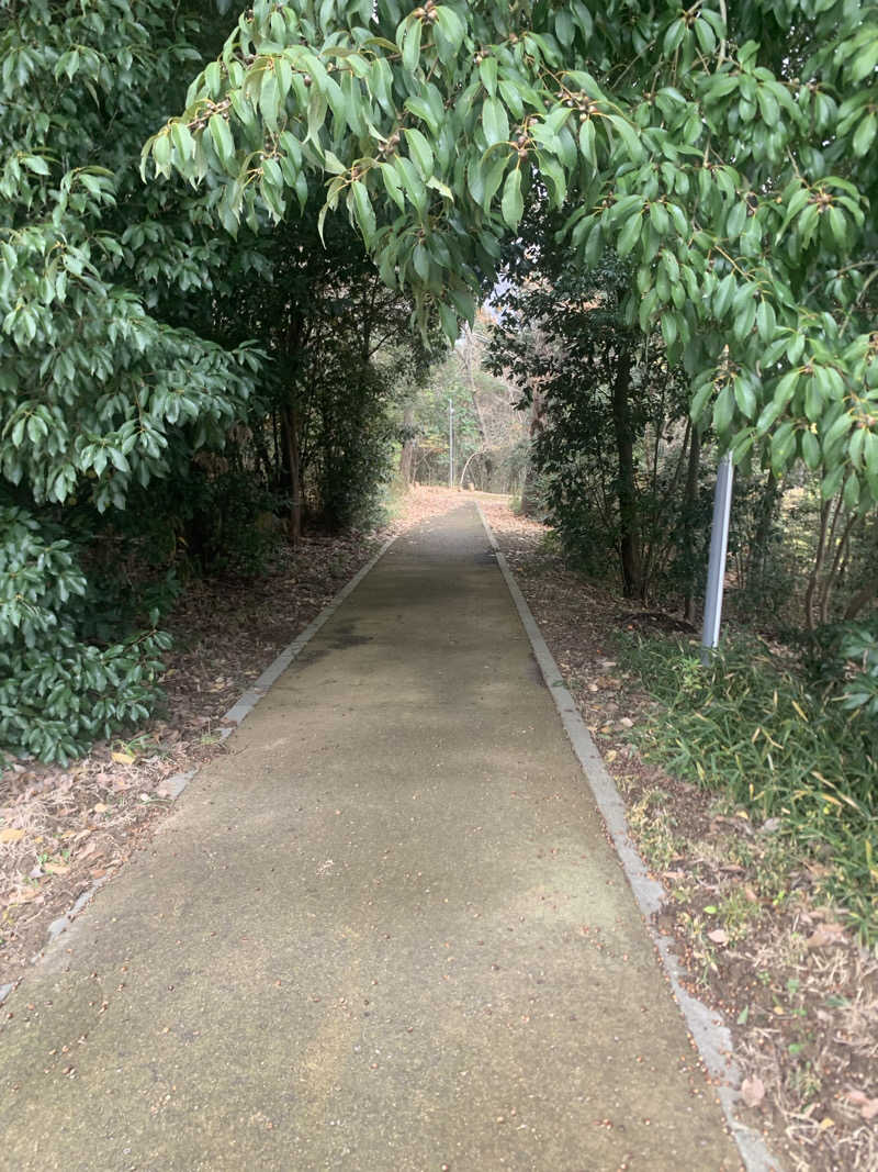 いちごぱふぇ🍓さんの白雲谷温泉ゆぴかのサ活写真