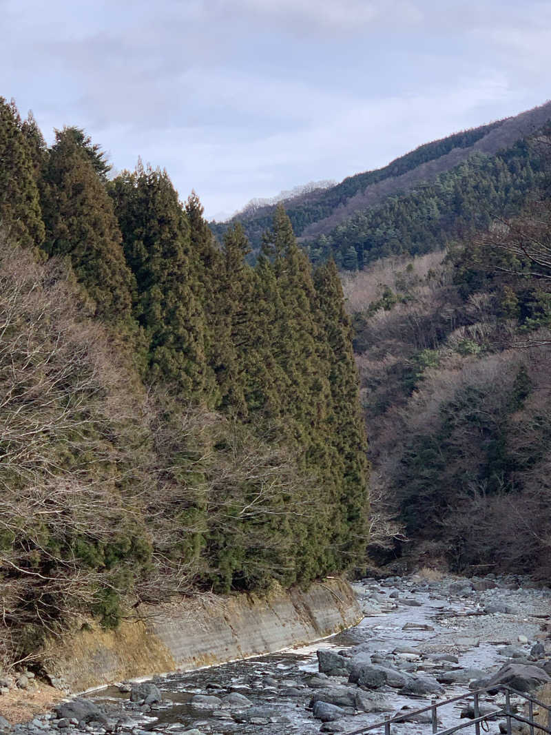 ぉゆきさんさんの道志川温泉紅椿の湯のサ活写真