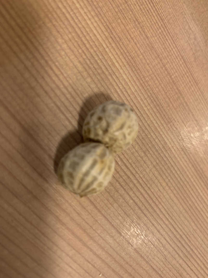 ぉゆきさんさんのゆうだい温泉のサ活写真