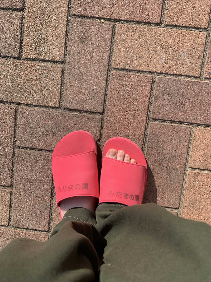 アカリさんのみはらしの丘 みたまの湯のサ活写真