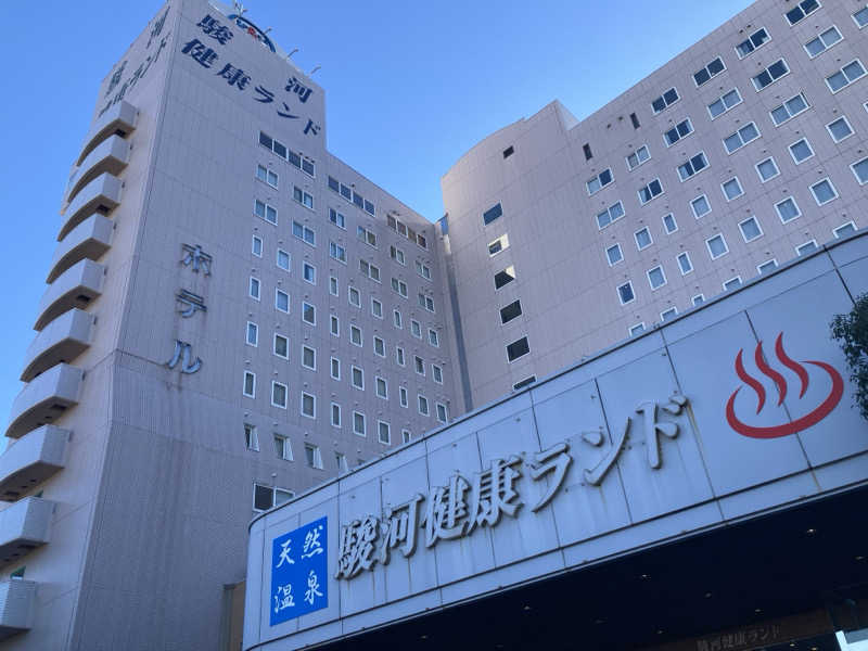 たつさんの駿河健康ランドのサ活写真